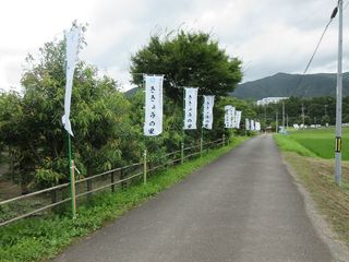 IMG_2364.jpg