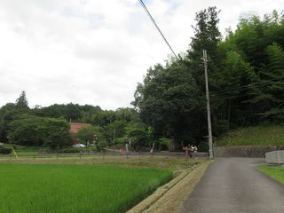 IMG_2365.jpg