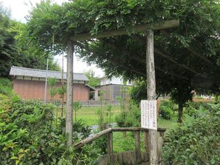 IMG_2366.jpg