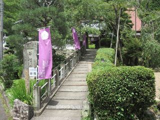 IMG_2381.jpg