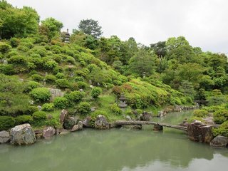 IMG_2402.jpg
