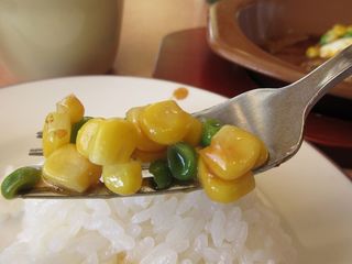 IMG_2518.jpg