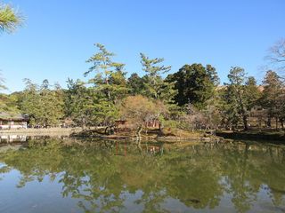 IMG_2576.jpg