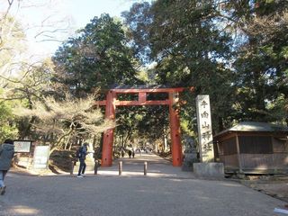 IMG_2585.jpg