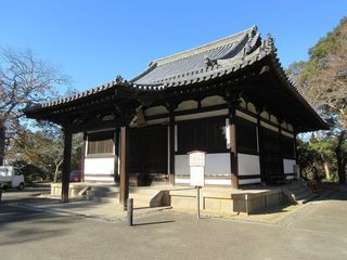IMG_2590.jpg