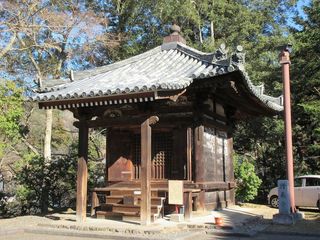 IMG_2591.jpg