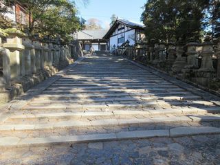 IMG_2597.jpg