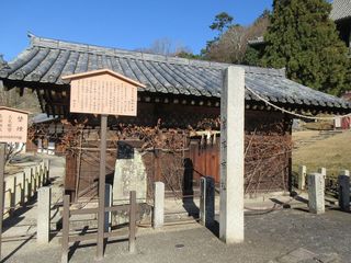 IMG_2602.jpg
