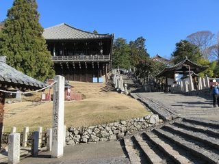 IMG_2603.jpg