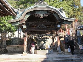 IMG_2606.jpg