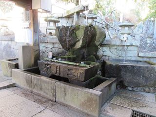 IMG_2615.jpg