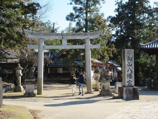 IMG_2619.jpg