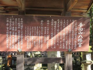 IMG_2622.jpg