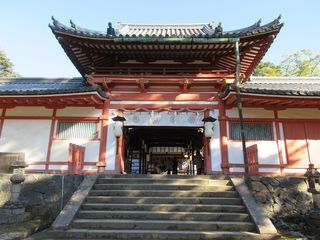 IMG_2623.jpg