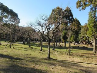 IMG_2630.jpg