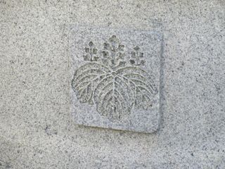 IMG_2766.jpg