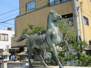IMG_2767.jpg