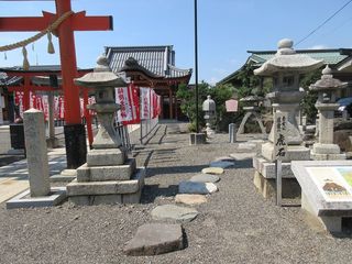 IMG_2773.jpg