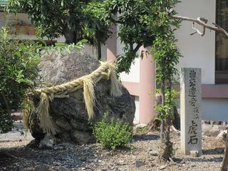 IMG_2776.jpg