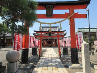IMG_2777.jpg