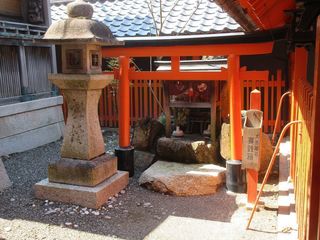 IMG_2785.jpg