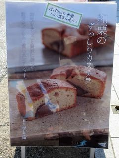 IMG_2795.jpg