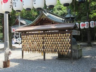 IMG_2867.jpg