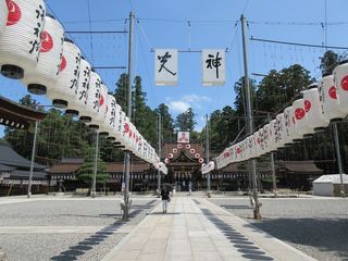 IMG_2872.jpg