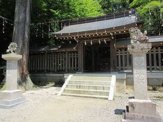 IMG_2942.jpg