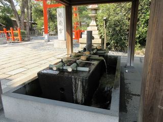IMG_2949.jpg