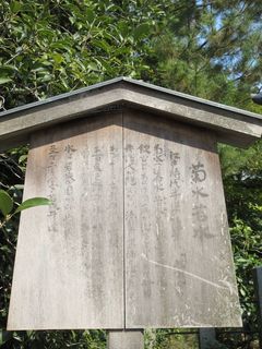 IMG_2955.jpg