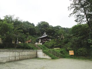 IMG_3135.jpg