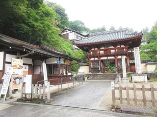 IMG_3136.jpg