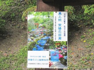 IMG_3148.jpg