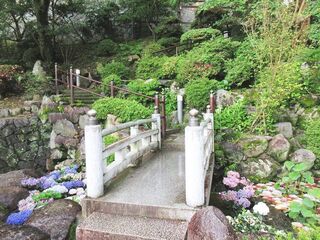 IMG_3153.jpg
