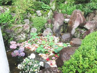 IMG_3154.jpg
