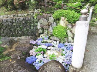 IMG_3155.jpg
