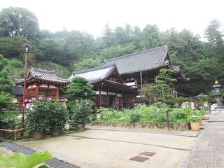 IMG_3161.jpg
