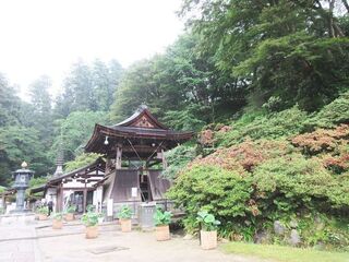 IMG_3162.jpg