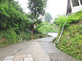 IMG_3242.jpg