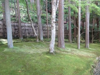 IMG_3362.jpg