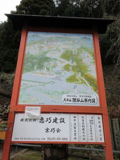IMG_3397.jpg