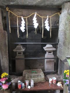 IMG_3415.jpg