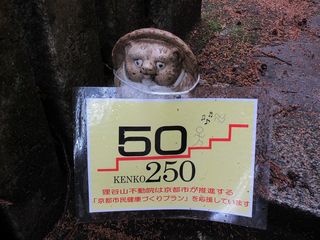 IMG_3416.jpg