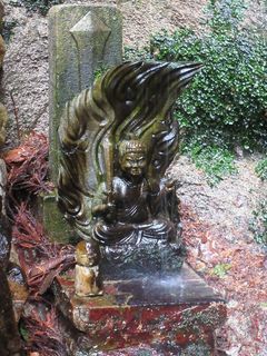 IMG_3462.jpg