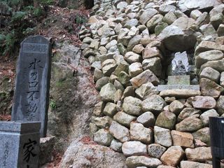 IMG_3464.jpg
