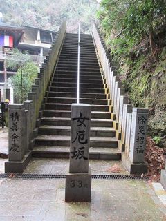IMG_3465.jpg