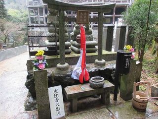 IMG_3466.jpg