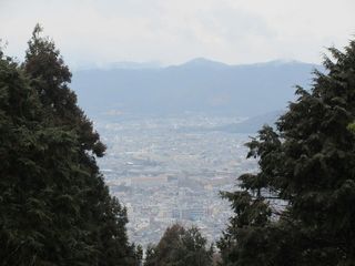 IMG_3480.jpg