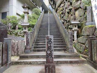 IMG_3489.jpg